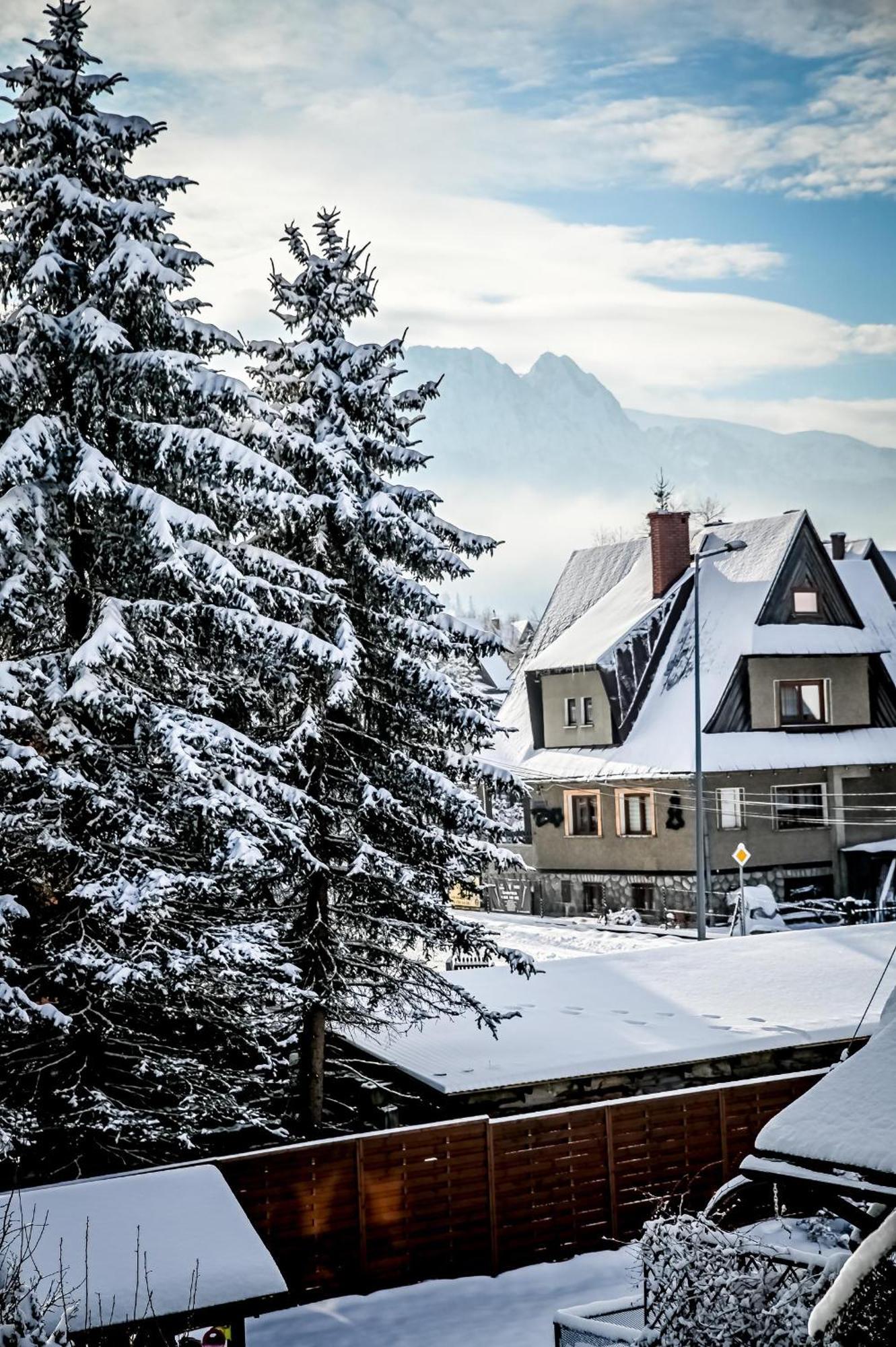 Tatarek Zakopane Bed & Breakfast Bagian luar foto
